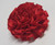 Lapel Carnations Red