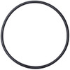 NRS Super 2 Pump Replacement Piston O-Ring