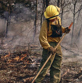 Propper Wildland & FR Clothing
