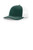Dark Green/ White