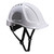 Portwest Endurance Plus Hard Hat Class E PS54
