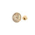 ASP Lapel Pin