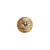 ASP Lapel Pin