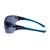 Portwest Essential Safety Glasses PS19