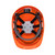 Portwest Forestry Combi Kit Hard Hat Visor and Ear Muffs PW98