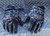 Vanguard Safety Wear Gauntlet Style MK-1 Structural Gloves