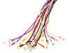 EYEGLASS CORDS in Different colors