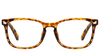 Tortoise Wayfarer Glasses