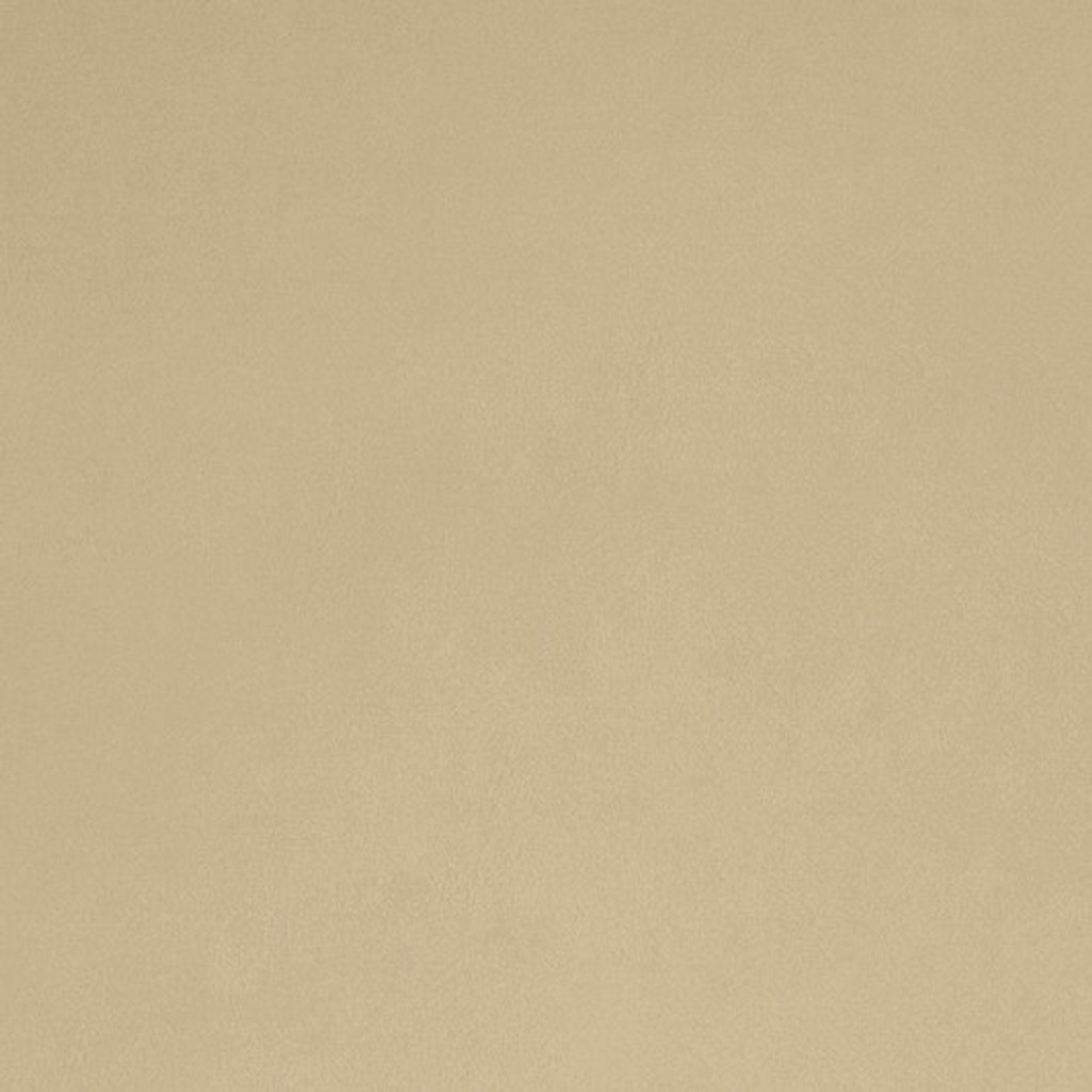 Beige Smooth - Shannon Fabrics Cuddle Minky