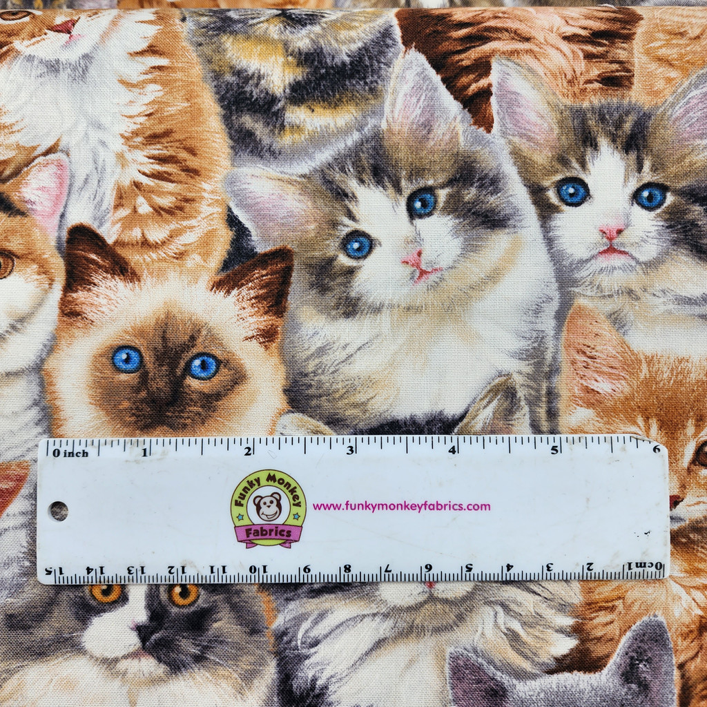 Multi Packed Cats - Elizabeth's Studio Cotton