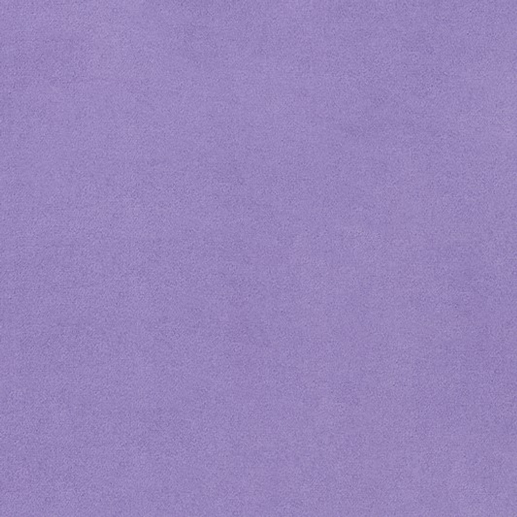 Iris Smooth - Shannon Fabrics Cuddle Minky