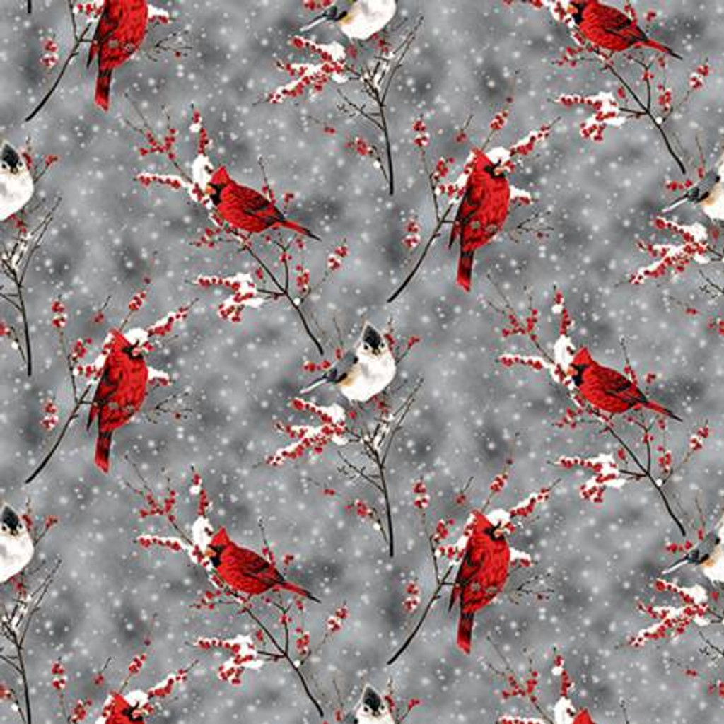 Silver Hoffman Cardinal Sparrow Digital - Shannon Fabrics Cuddle Minky