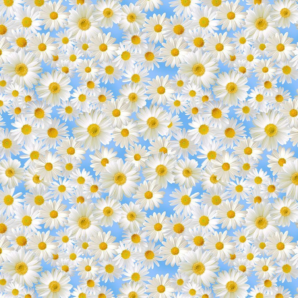 Sky Daisies in the Blue Sky - Timeless Treasures Cotton (CD2436-SKY)