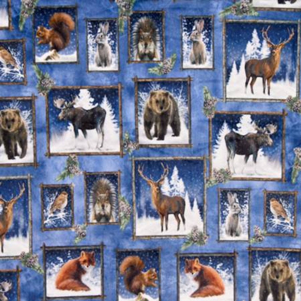 Multi Frosty Frames Digital - Shannon Fabrics Cuddle Minky (DCFROSTYFRAMESMULTI)