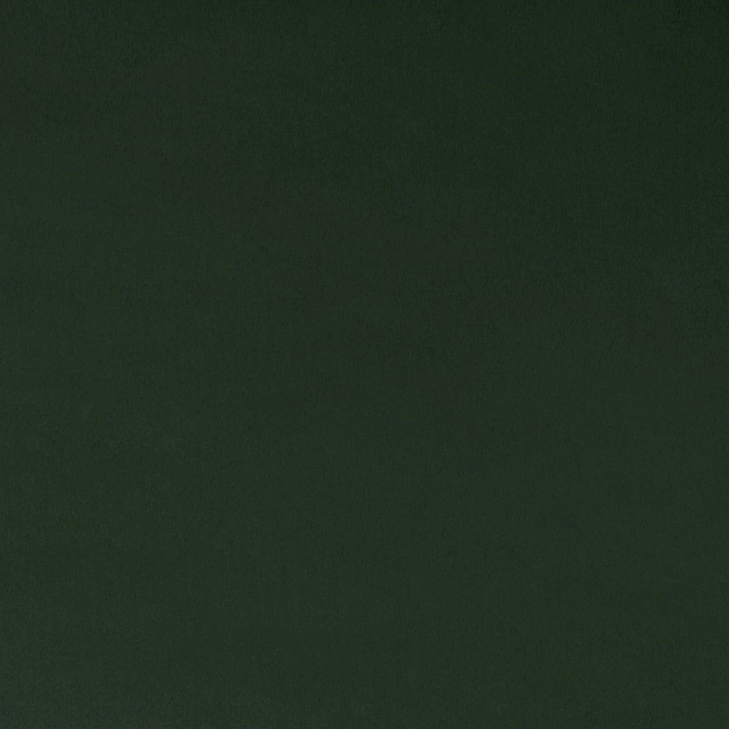 Forest Quilting Cuddle - Shannon Fabrics (qcforest)