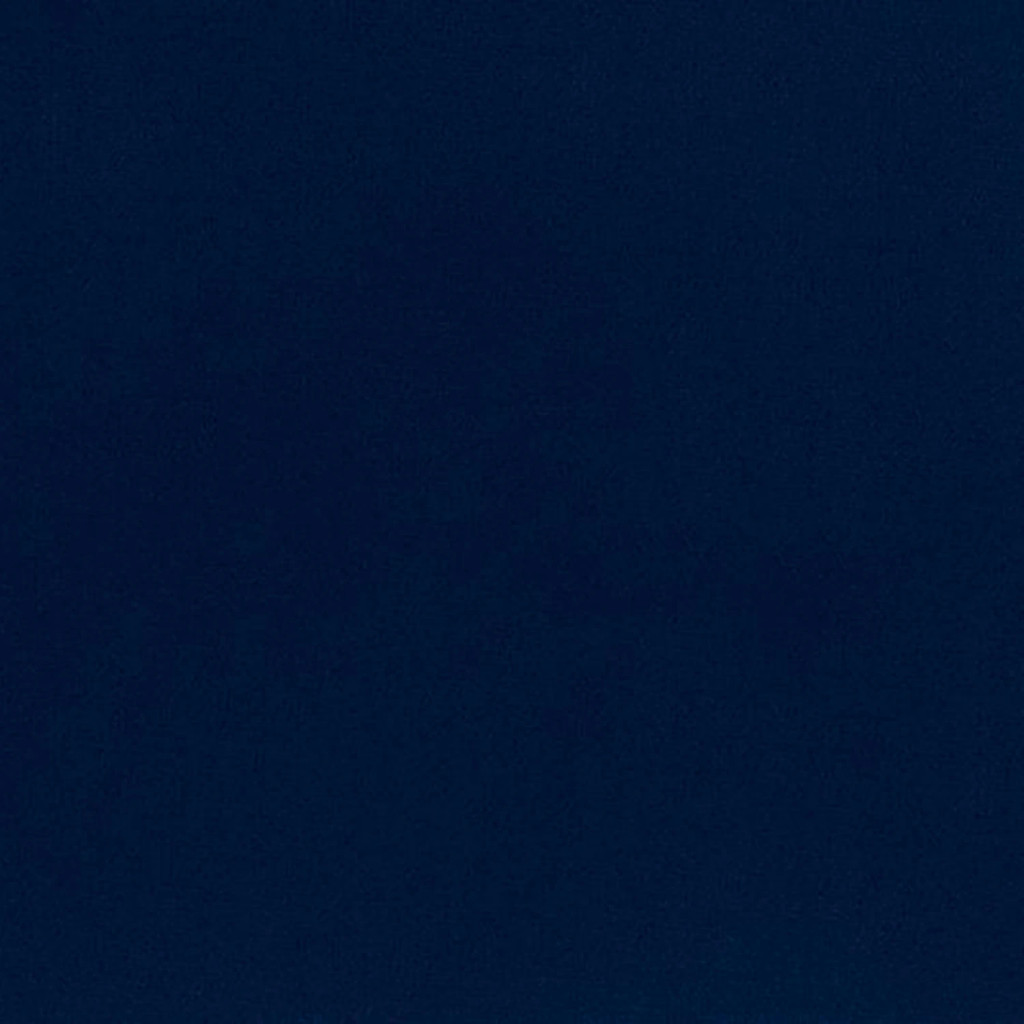 Navy Quilting Cuddle - Shannon Fabrics (QCNAVY)