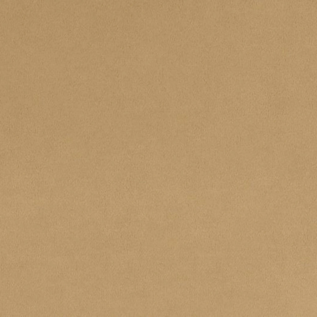 Sand Quilting Cuddle - Shannon Fabrics (QCSAND)