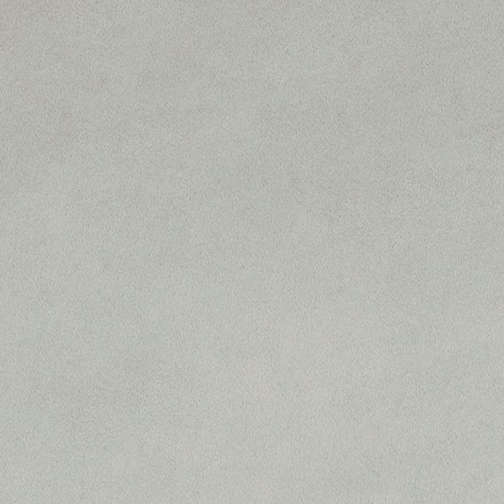 Silver Smooth - Shannon Fabrics Cuddle Minky