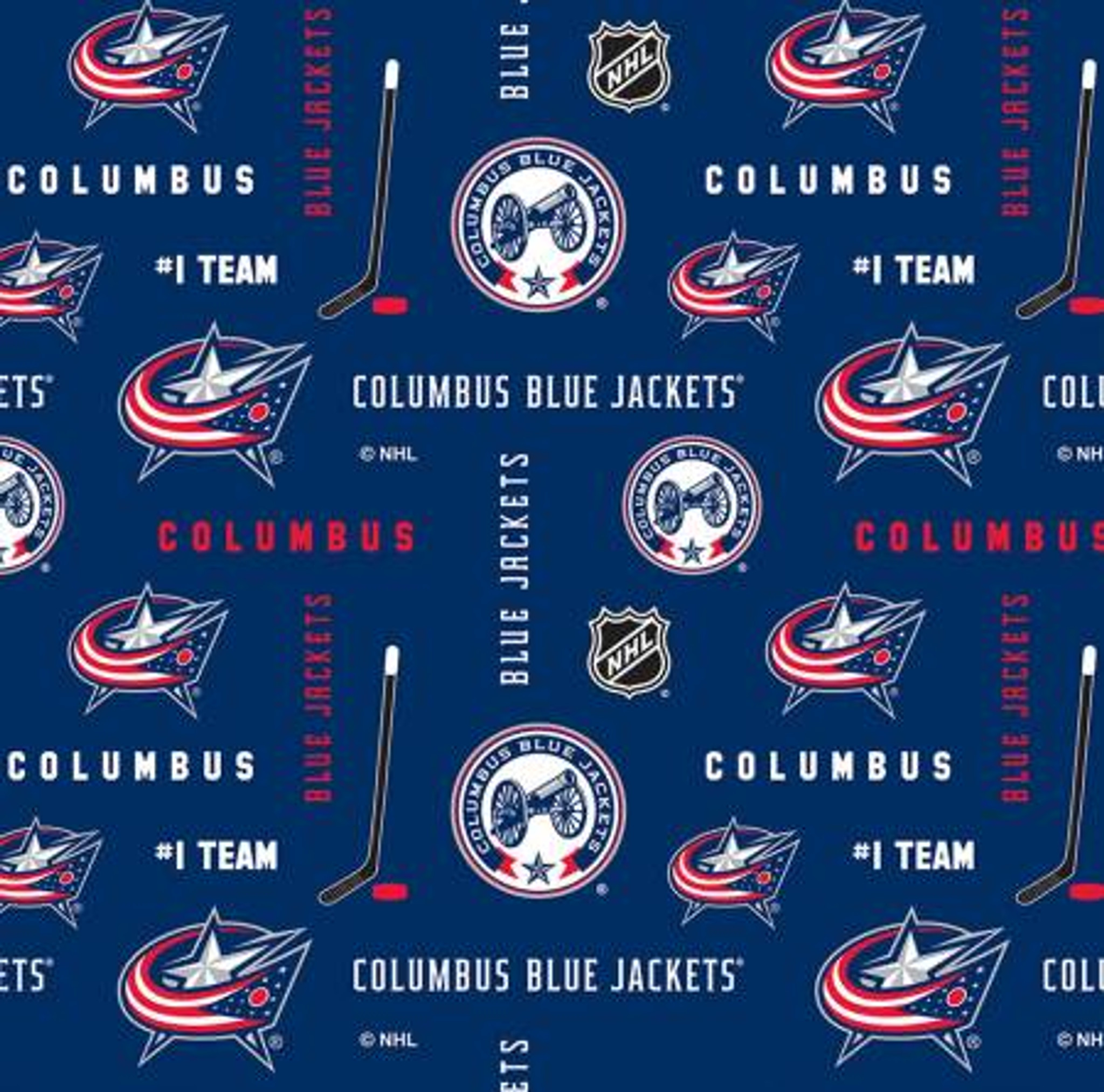 Columbus Blue Jackets Stock Photos - Free & Royalty-Free Stock Photos from  Dreamstime