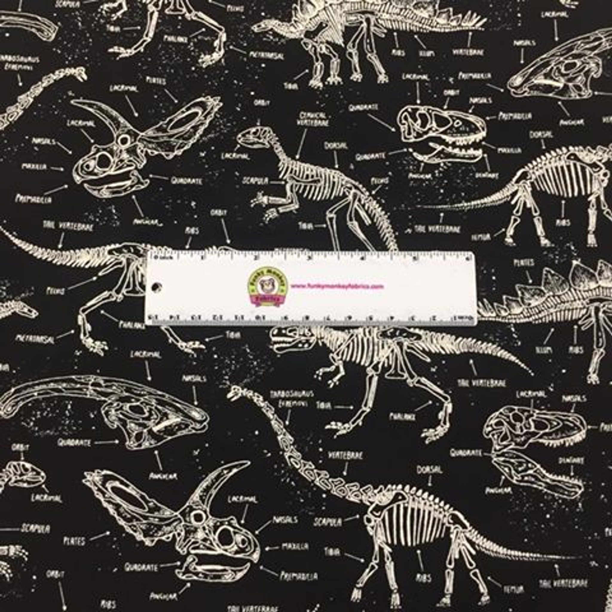 Dinosaur Bones Glow Fabric 