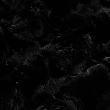 Black Glacier - Shannon Fabrics Cuddle Minky (LCGLACIERBLK)