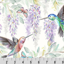 Multi Hummingbird Digital - Shannon Fabrics Cuddle Minky