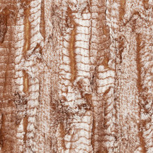 Ginger Boa - Shannon Fabrics Cuddle Minky