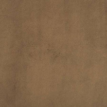 90" Cappuccino Smooth - Shannon Fabrics Cuddle Minky