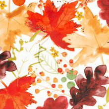 Autumn Leaves Harvest Digital - Shannon Fabrics Cuddle Minky 