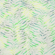 Parakeet Prism Luxe - Shannon Fabrics Cuddle Minky.