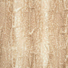 Beige Fawn - Shannon Fabrics Cuddle Minky (lcfawnbeige)