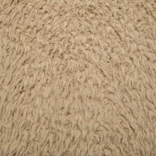 Sand Llama - Shannon Fabrics Cuddle Minky