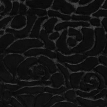 Black Demi Rose - Shannon Fabrics Cuddle Minky