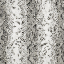 Charcoal Snowy Owl - Shannon Fabrics Cuddle Minky (lcsnowyowlcharcoal)