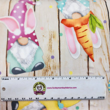 Hopping Gnomes Pastel Digital - Shannon Fabrics Minky