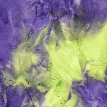 Mardi Gras Sorbet Luxe - Shannon Fabrics Cuddle Minky