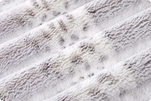 Dove Alaskan Bunny - Shannon Fabrics Cuddle Minky