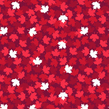 Canadian Christmas Red Maple Leaves - Windham Fabrics Cotton (52763d-4)
