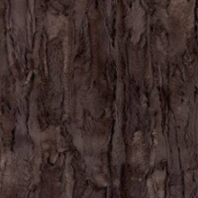 Chocolate Willow - Shannon Fabrics Cuddle Minky (LCWILLOWCHOCOLATE)