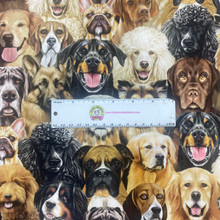 Natural Packed Dogs Portrait - Timeless Treasures Cotton