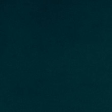 90" Bayou Smooth - Shannon Fabrics Cuddle Minky