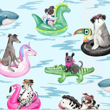 Pool Paw-Tay Digital - Shannon Fabrics Cuddle Minky (dcpoolpaw-taymulti)