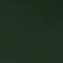 Forest Quilting Cuddle - Shannon Fabrics (qcforest)