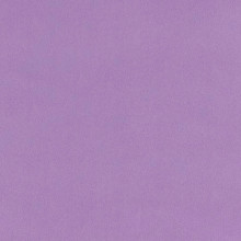 Bellflower Quilting Cuddle - Shannon Fabrics (QCBELLFLOWER)