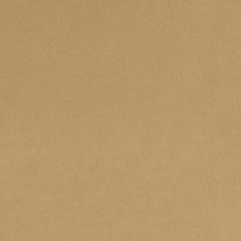 Sand Quilting Cuddle - Shannon Fabrics (QCSAND)