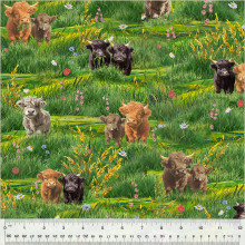 Highland Cows in the Field - Windham Fabrics Cotton (54459-1)