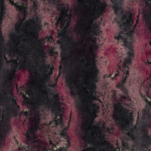 Dragon Wild Rabbit - Shannon Fabrics Cuddle Minky