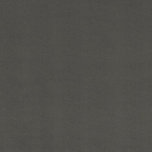 Ash Smooth - Shannon Fabrics Cuddle Minky