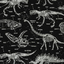 Dinosaurs Fossil Glow in the Dark on Black - Timeless Treasures Cotton (CG5797-BLK)