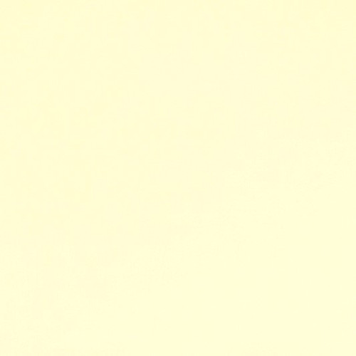 Vanilla Smooth - Shannon Fabrics Cuddle Minky